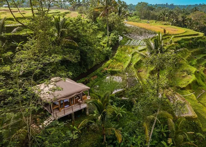 Nadi Nature - Adults Only Selemadeg